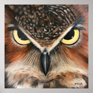Owl Painting Poster
