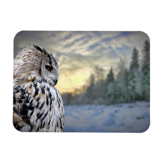 Owl-Portrait über den Winterwaldhintergrund Magnet (Horizontal)