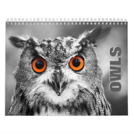 Owl Portraits Wall Calendar Kalender