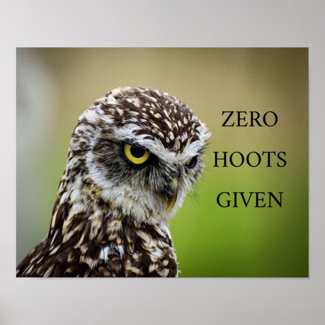 Owl Poster (Vorne)