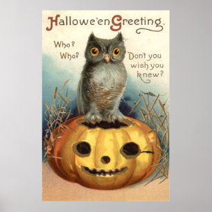 Owl Pumpkin Kürbislaterne Poster