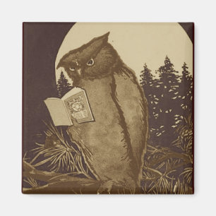 Owl Reading by Moonlight Magnet