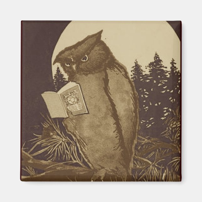 Owl Reading by Moonlight Magnet (Vorne)