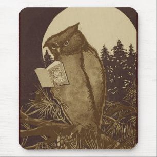 Owl Reading by Moonlight Mousepad