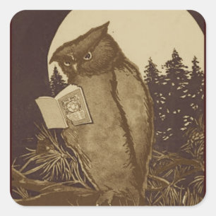 Owl Reading by Moonlight Quadratischer Aufkleber