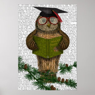 Owl Reading on Branch Poster