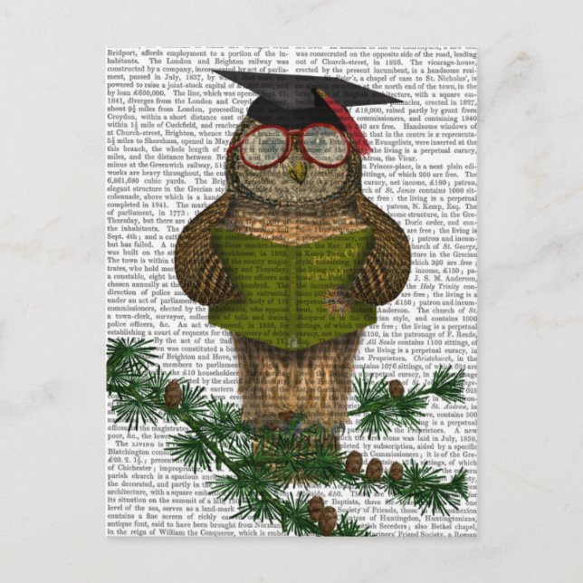 Owl Reading on Branch Postkarte (Vorderseite)