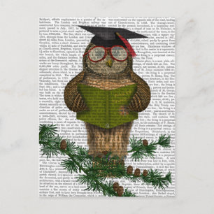 Owl Reading on Branch Postkarte