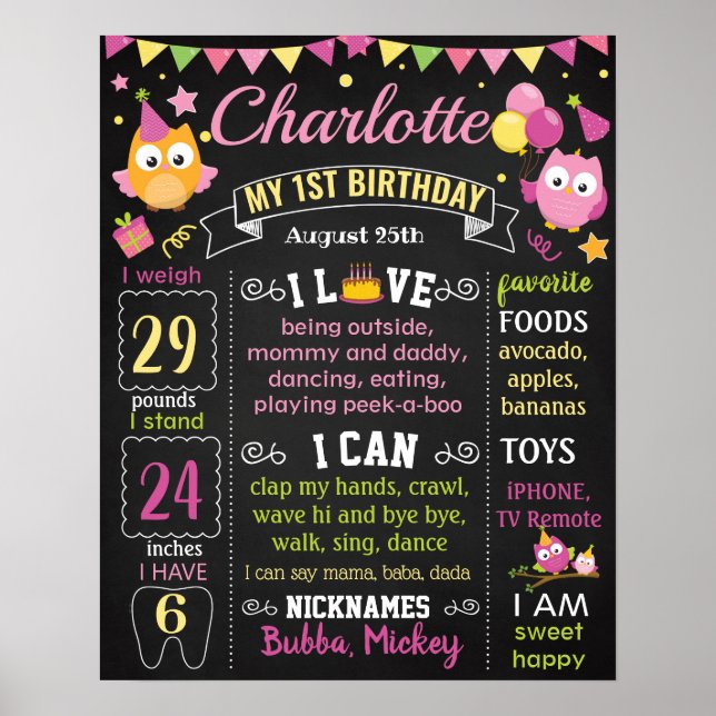 Owl rosa Chalkboard-Zeichen zum ersten Geburtstag Poster (Vorne)