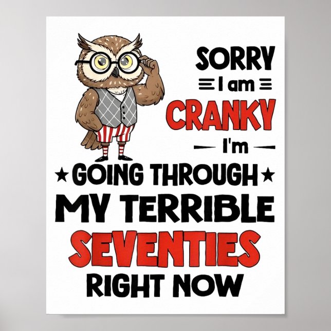 Owl Sorry I'm Cranky I'm Going Through My Terrible Poster (Vorne)