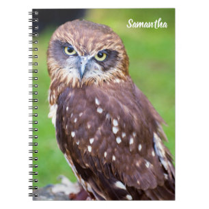 Owl Spirale Notebook Notizblock