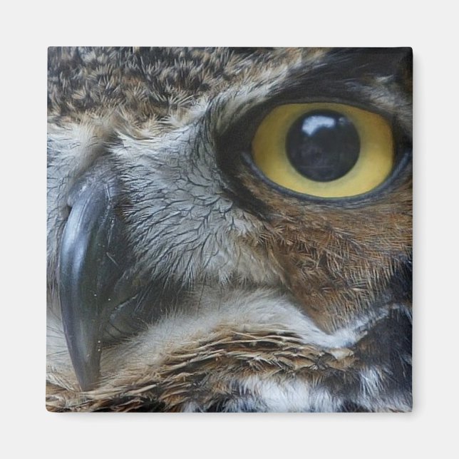 Owl Square Magnet (Vorne)