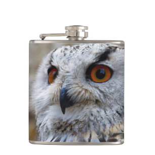 Owl Stainless-Stahlflasche Flachmann