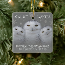 Owl Wir Wollte Weihnachts-Cheer Snowy Owls Keramikornament