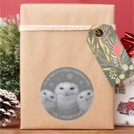 Owl Wir Wollte Weihnachts-Cheer Snowy Owls Runder Aufkleber