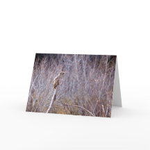 Owl wünscht Ihnen glückliche Ferien