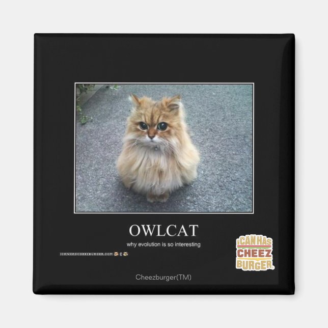 Owlcat Magnet (Vorne)