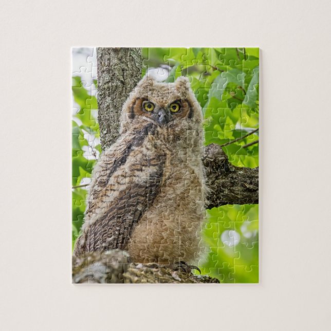 Owlet Puzzle (Vertikal)