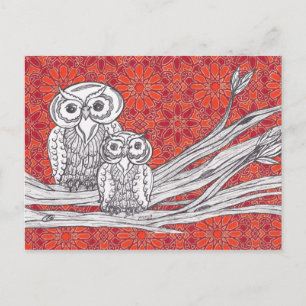 Owls 41 postkarte