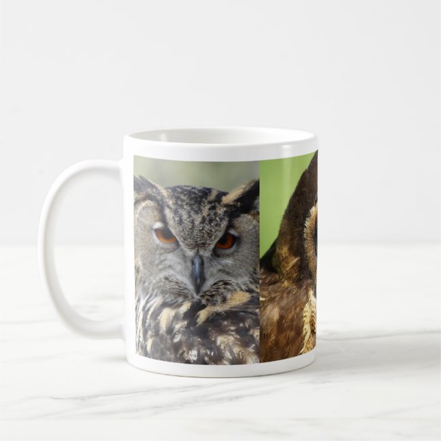 Owls Animal Birds Nature Park Tree Harmony Destiny Kaffeetasse (Links)