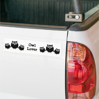 Owls Design Autoaufkleber