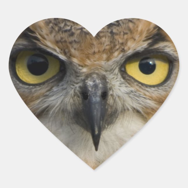 Owls Eyes Herz-Aufkleber (Vorderseite)