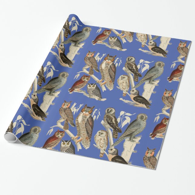 Owls glänzendes Wrapping Paper Geschenkpapier (Ungerollt)