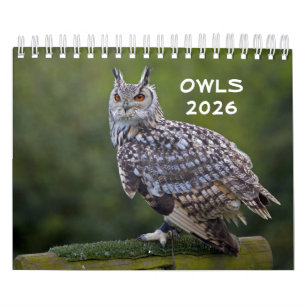 Owls-Kalender Kalender