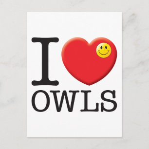Owls Liebe Postkarte