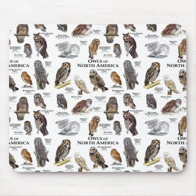 "OWL's of North America" Mausklick Mousepad (Vorne)