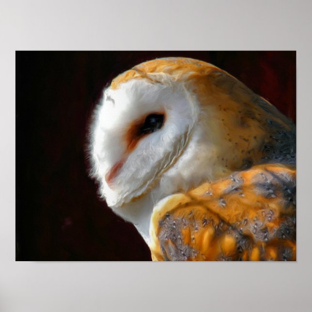 OWLS POSTER (Vorne)