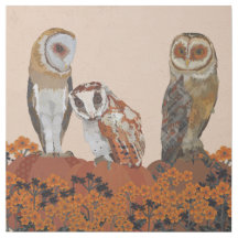 OWLS PUMPKIN PATCH