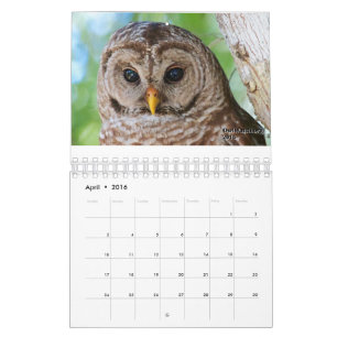 OwlWatch Kalender 2016