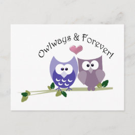 Owlways und Forever! Niedliches Owl-Design Postkarte