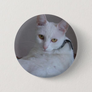 Owos Haustiere: Pitusa Button