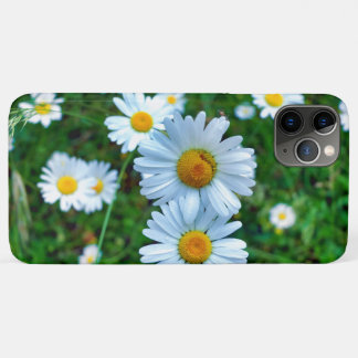Ox-Eye Daisies Case-Mate iPhone Hülle
