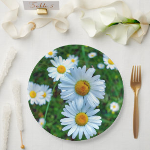 Ox-Eye-Daisies-Papierplatte Pappteller