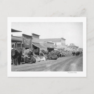 Ox Teams entlang der Hauptstraße von Sturgis Fotog Postkarte