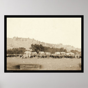 OX Teams & Wagons Frachter Schwarze Hügel SD 1887 Poster