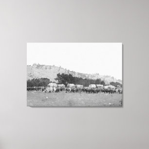 Ox Züge zwischen Sturgis und Deadwood Fotograp Leinwanddruck