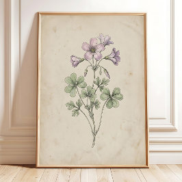 Oxalis-Blumen-Vintage-Farmhouse-Kunstprint Poster