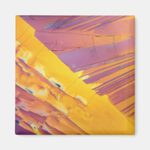 Oxalische Säure-Kristalle Magnet