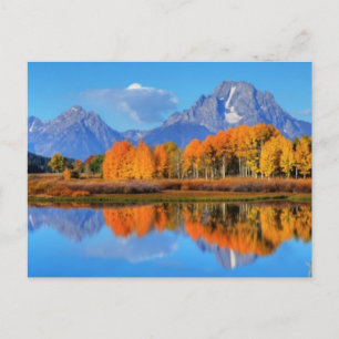 Oxbow Bend Sunrise Postkarte