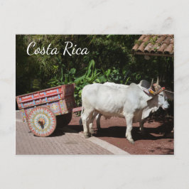 Oxcart, Costa Rica Postcard Postkarte