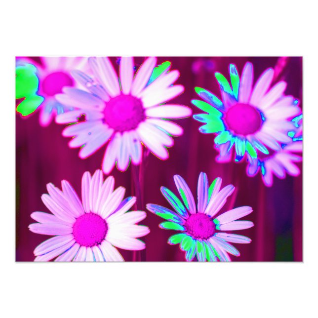 Oxeye Daisy Meadow Pop Art Style Fotodruck (Vorne)