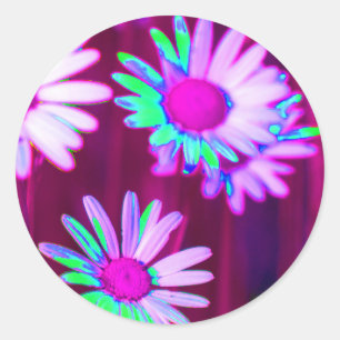 Oxeye Daisy Meadow Pop Art Style Runder Aufkleber