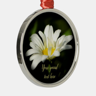 Oxeye Daisy Premier Round Ornament
