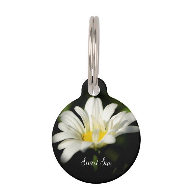 Oxeye Daisy Round Dog Tag Haustiermarke (Vorderseite)