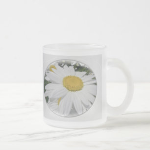 Oxeye Daisy Wildblume Mattglastasse