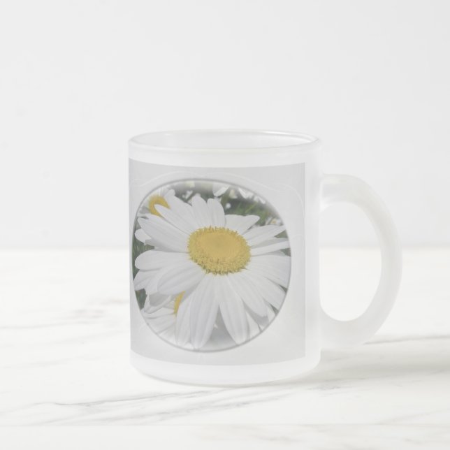 Oxeye Daisy Wildblume Mattglastasse (Rechts)